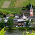 Weingut in Zell-Merl
